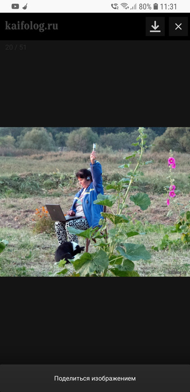 Screenshot_20200505-113109_Firefox