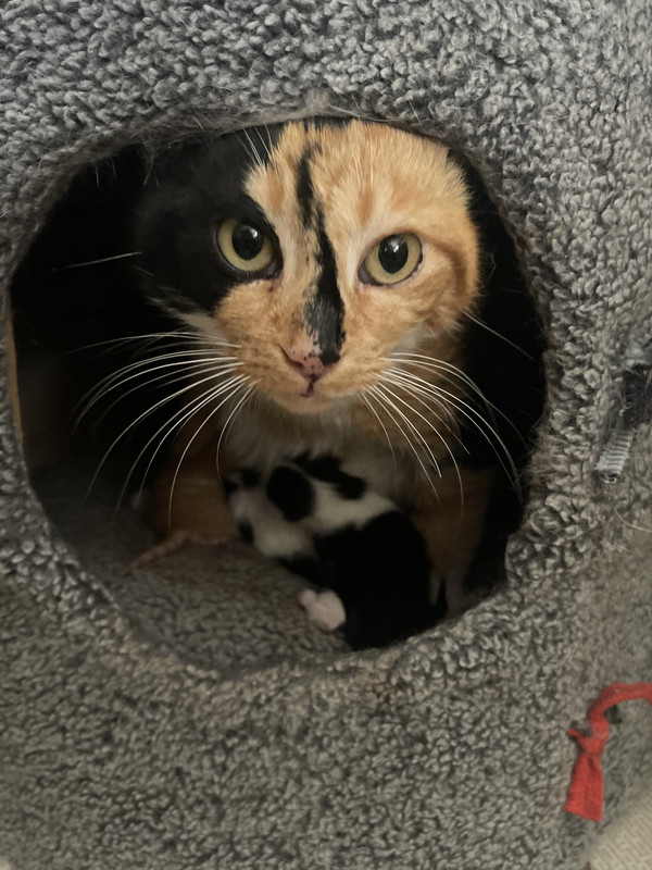 F43F3ABA-21B0-45B8-B45B-A55EFC9C30A8