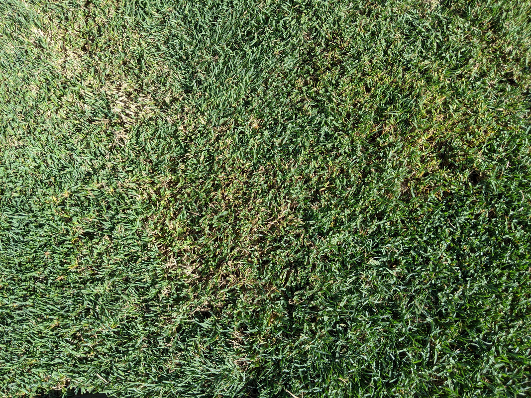 PXL_20200804_205558984.MP