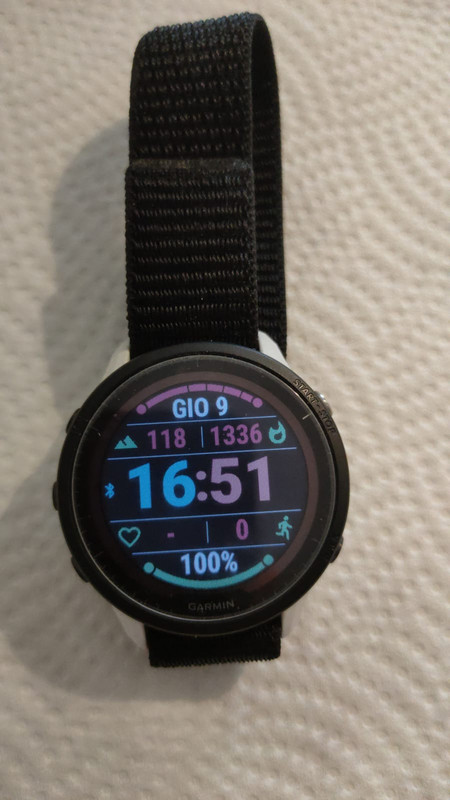 Garmin forerunner 955 solar 7