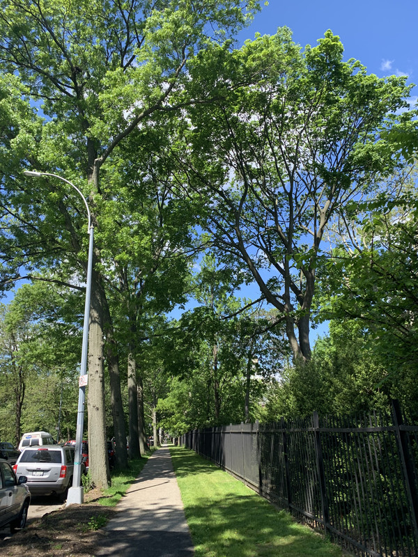 F85C9D26-FB26-4DD1-9D97-1CD633C496CD