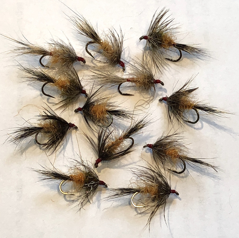 Red Fox Squirrel Nymph -02