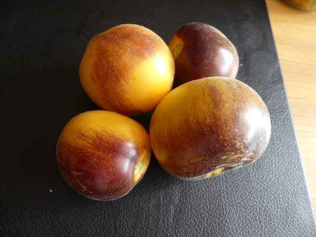 Obrazek