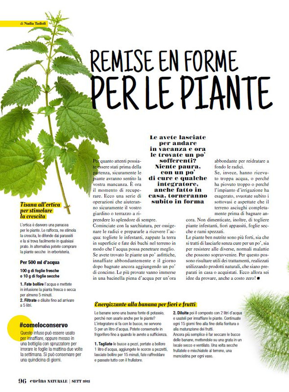 Cucina Nat Set 2021 (10)