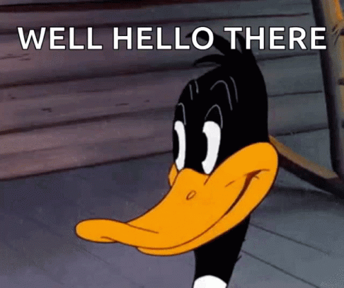 looney-tunes-daffy-duck.gif