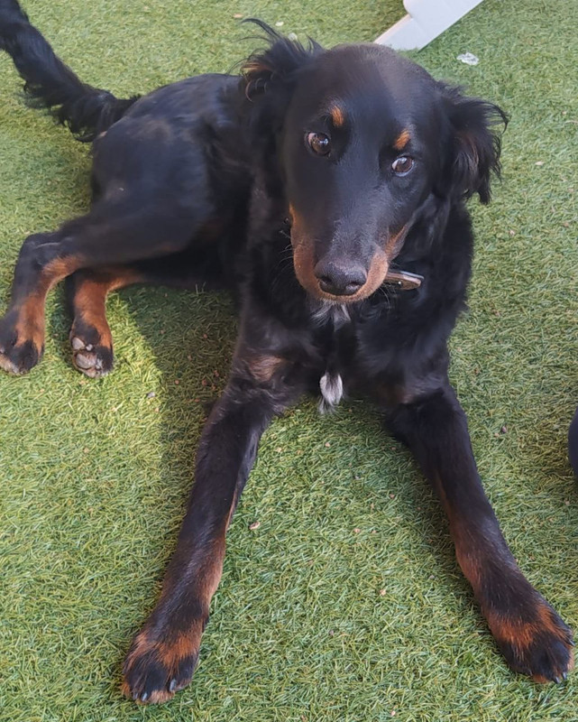 photo_2023-03-24_08-06-55 (4)