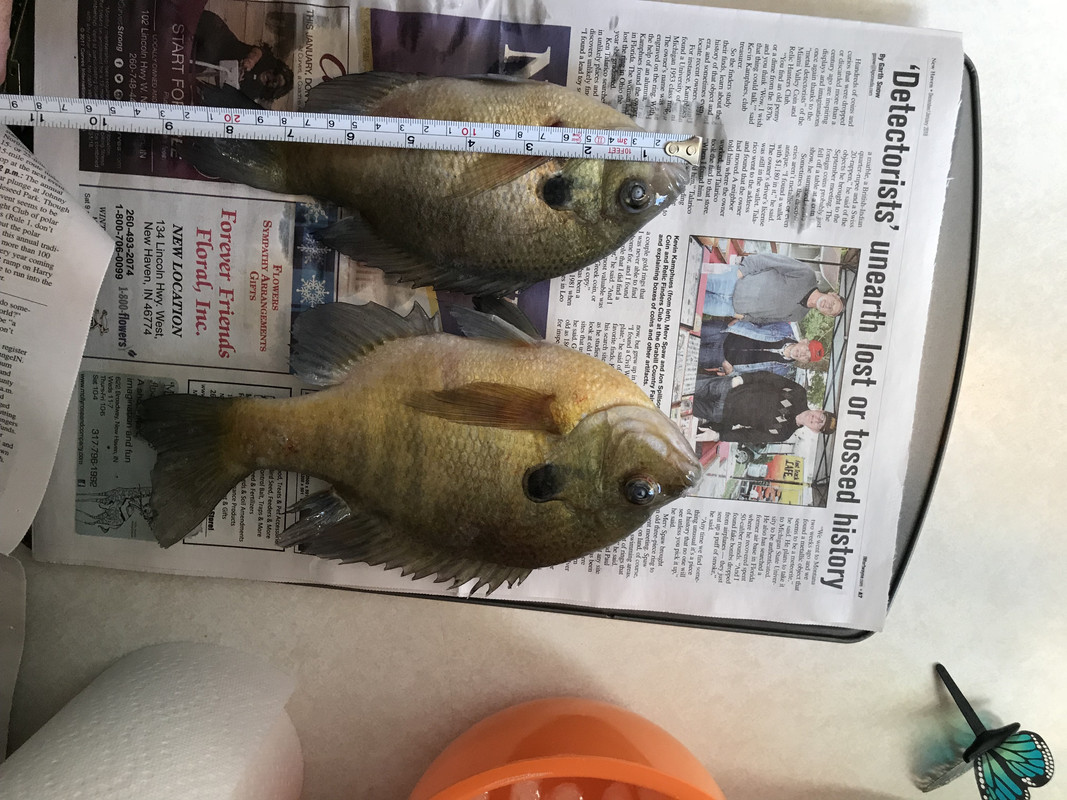 39916585-10D0-441D-8747-90F6CCC91371