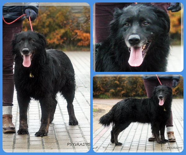 BeFunky-collage (21)