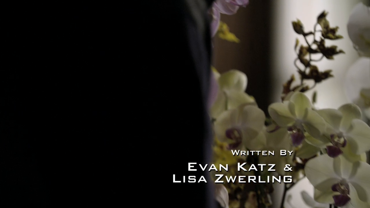 15859339313044530911