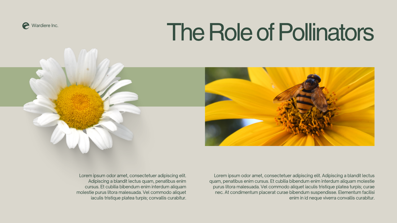 Green and Grey Simple Nature Presentation