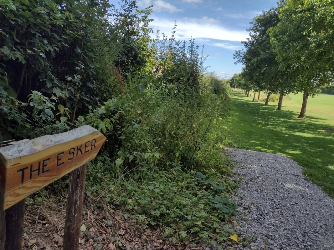 IMG_20220817_144443699_HDR