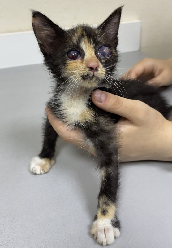 95CC53B9-F0F6-445D-8492-4B7B7A10EA5D