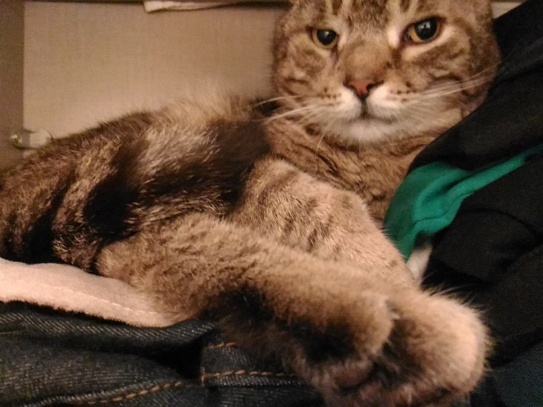 P_20191113_235304_LL