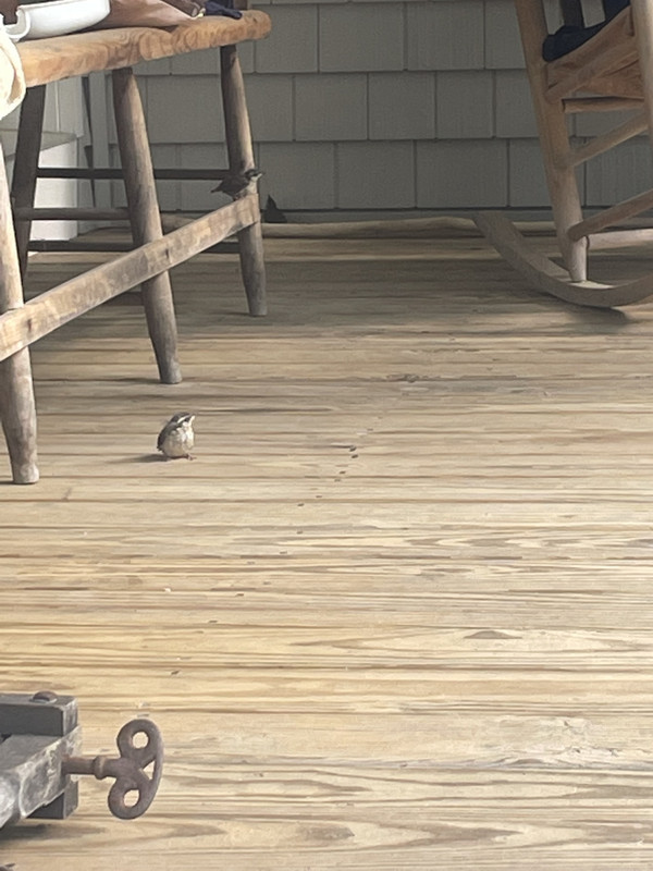 0B31FFC4-9FC6-4C41-A820-730E4DC8D760