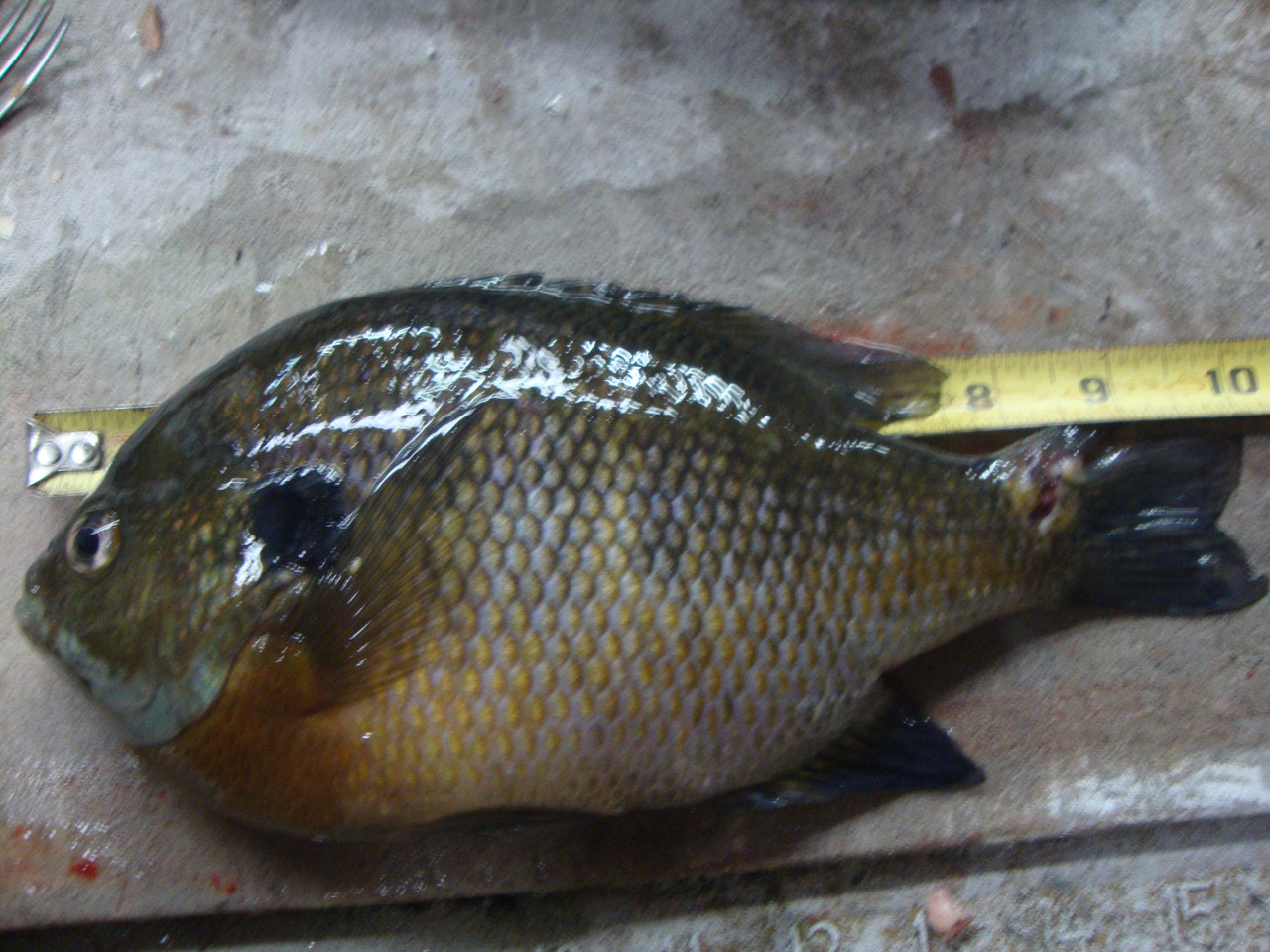 FISHING 25 26 005