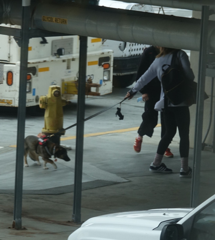 emmawatson-photogallery.blogspot.com (13)