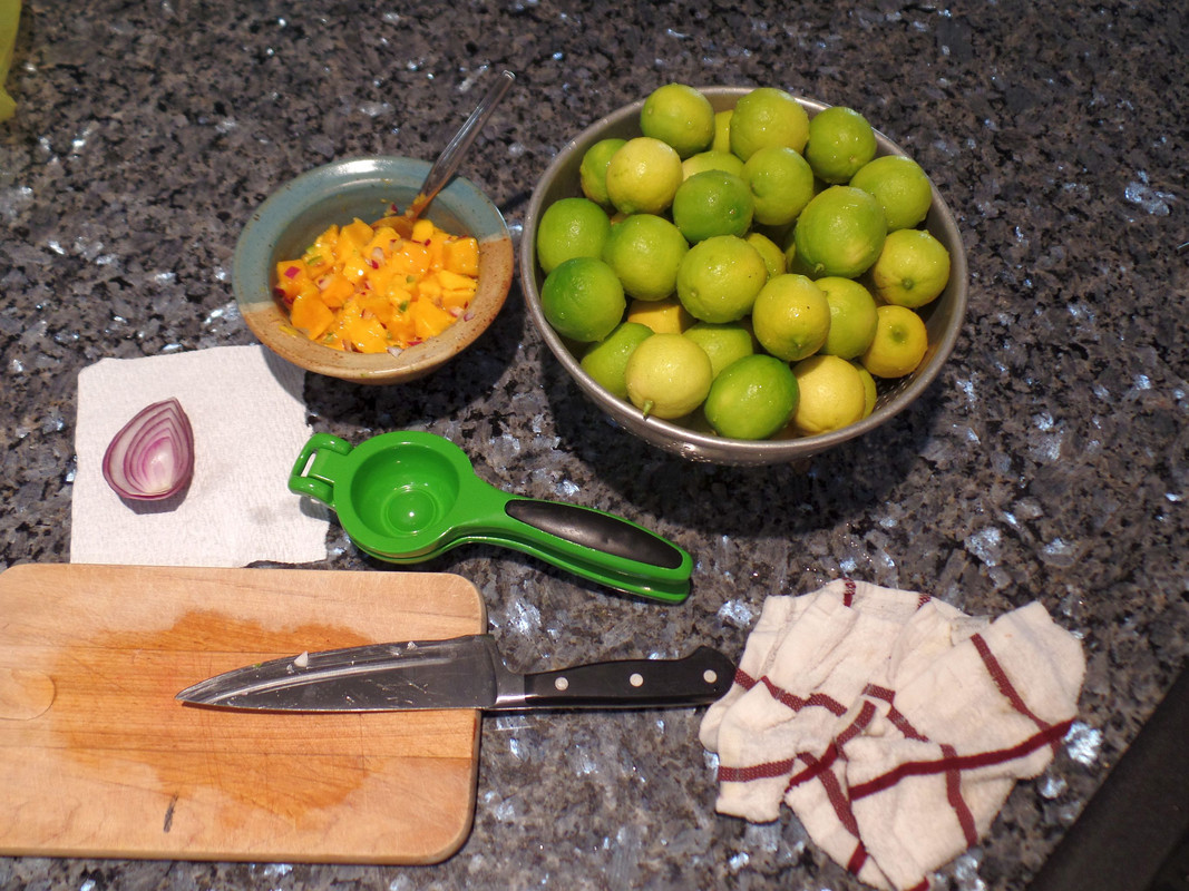 LemonZestFruitSept22Salsa