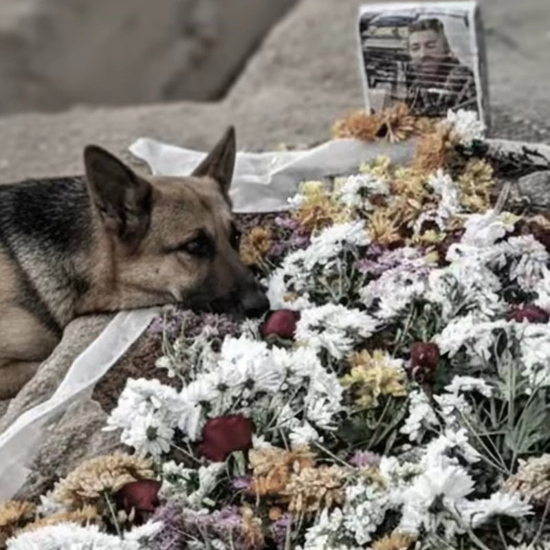 ۲۰۲۶۰۲۰۹ ۰۶۴۴۰۴