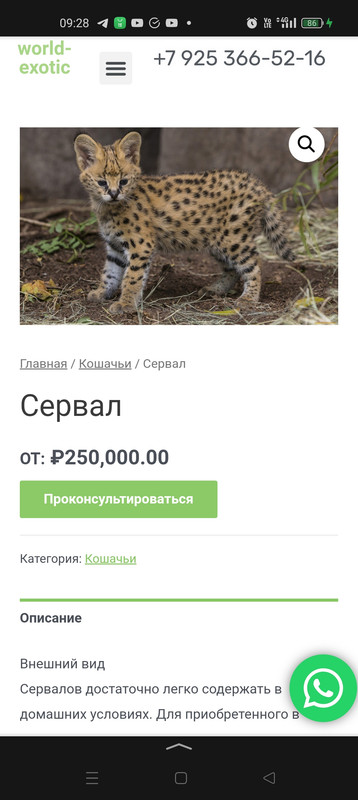 1000029643
