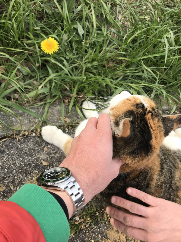 35D33A79-7EF2-4C24-A393-C1546624E6C4