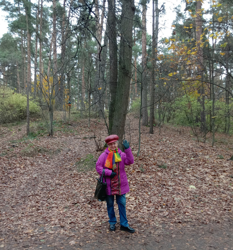 В осеннем лесу 4