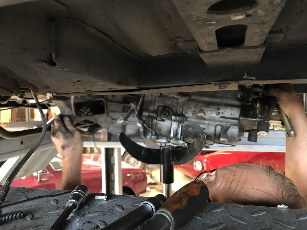 9C0486AE-CB74-4BCB-AC5A-817A499ED812