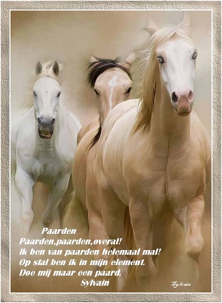 m-PAARDEN