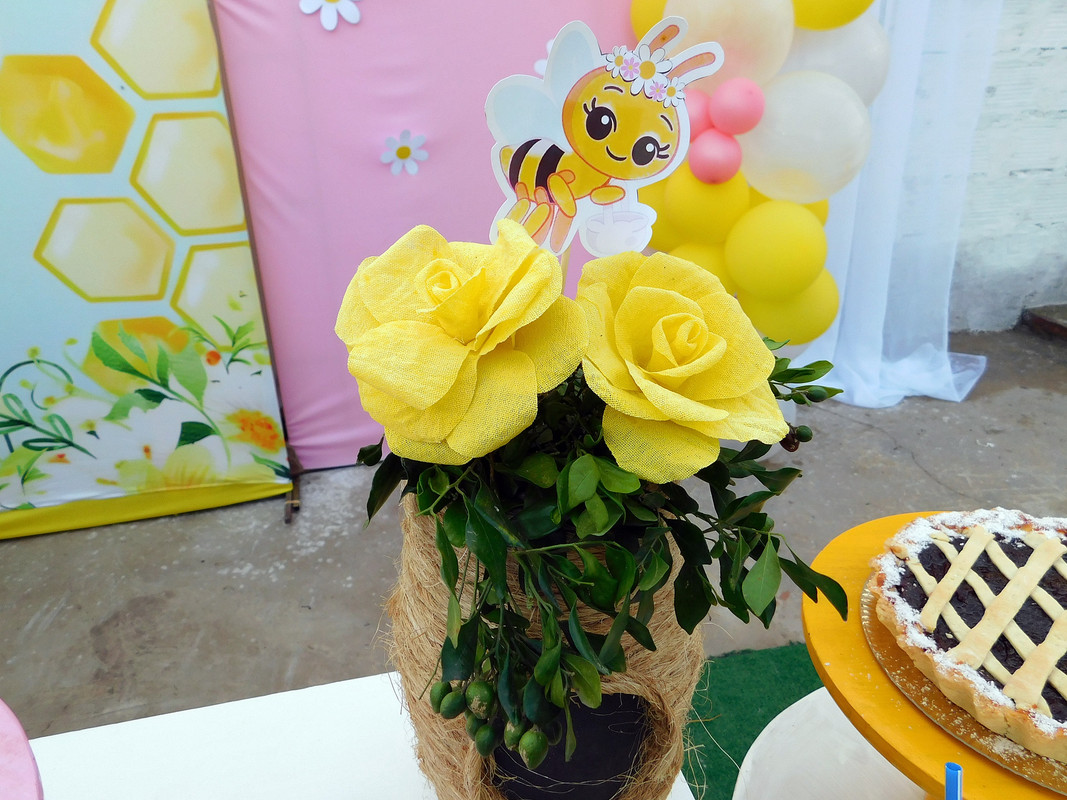 DSCN0010.jpg