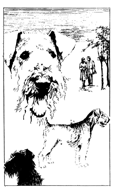 p0340