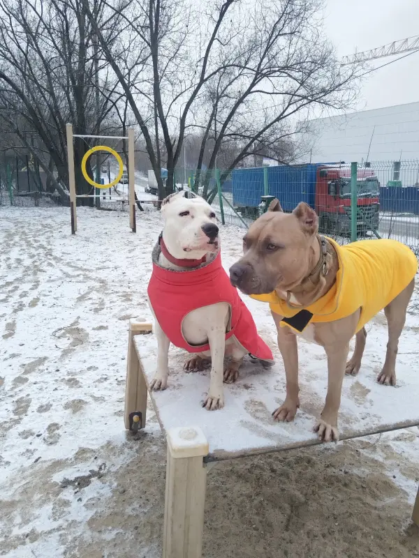 fjpwzA7upfWL13jXN5WZxdps_9vn3oBTZontzoYuAQUgisI6XrZTbNKxLZGZikDcq7Vt-mWftzRPHBTJedXK1m0V