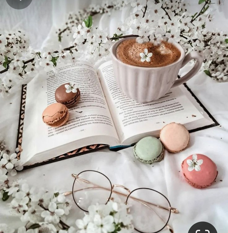 Screenshot_20240424_225913_Pinterest