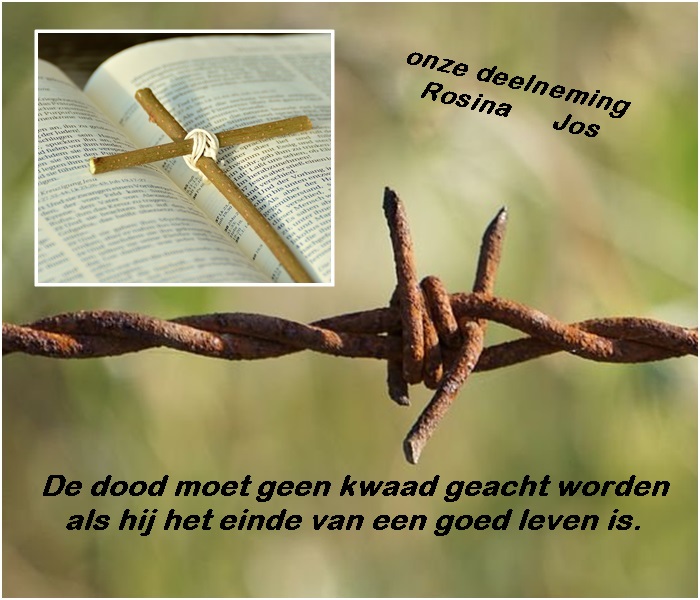 welkom op Bunic Jos