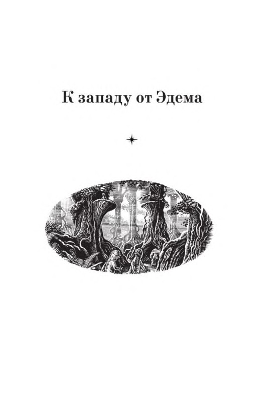 p0006
