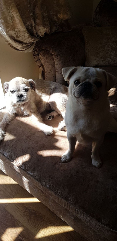 4368AE7A-9E81-4289-9911-0F7C5D4D5A39