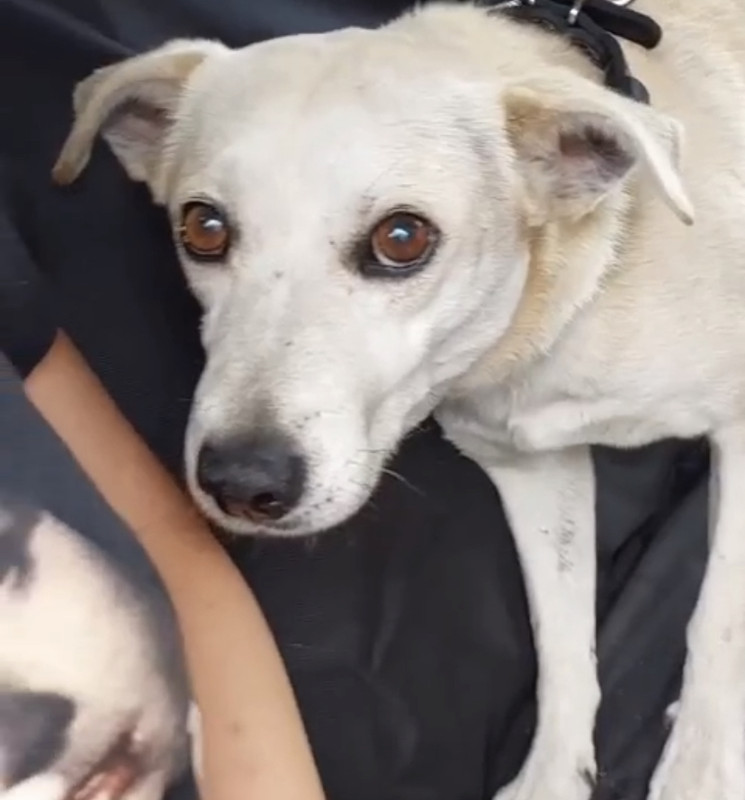 07EF4FD9-522F-49CD-A02F-281A4B86E21A