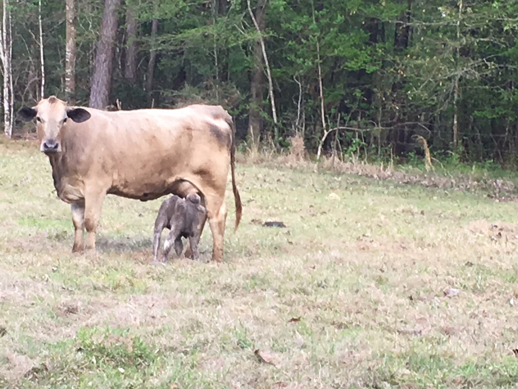 F013222C-04C3-48C1-8EAC-428922A33805