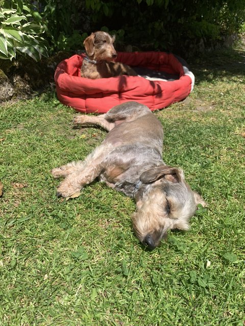 [Image: IMG-6536.jpg]