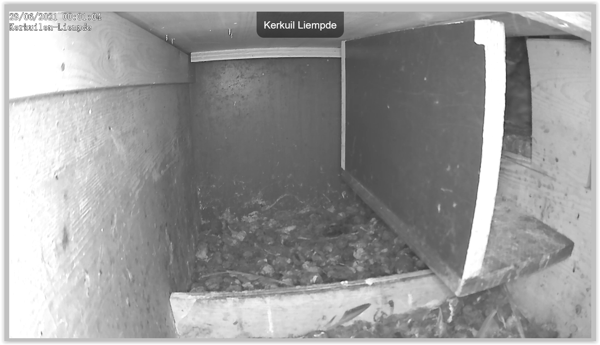 Screen Shot 06-29-21 at 12.01 AM