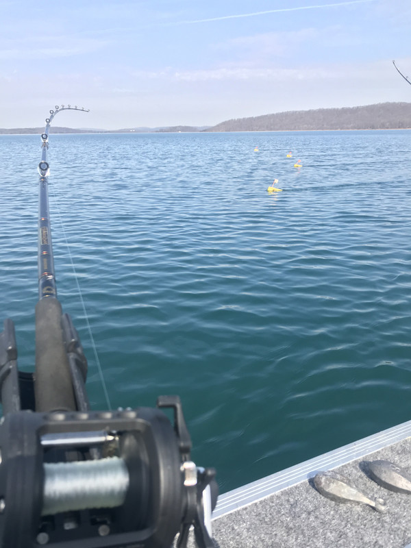 70B0BF69-15ED-4781-B966-BB23A6874529