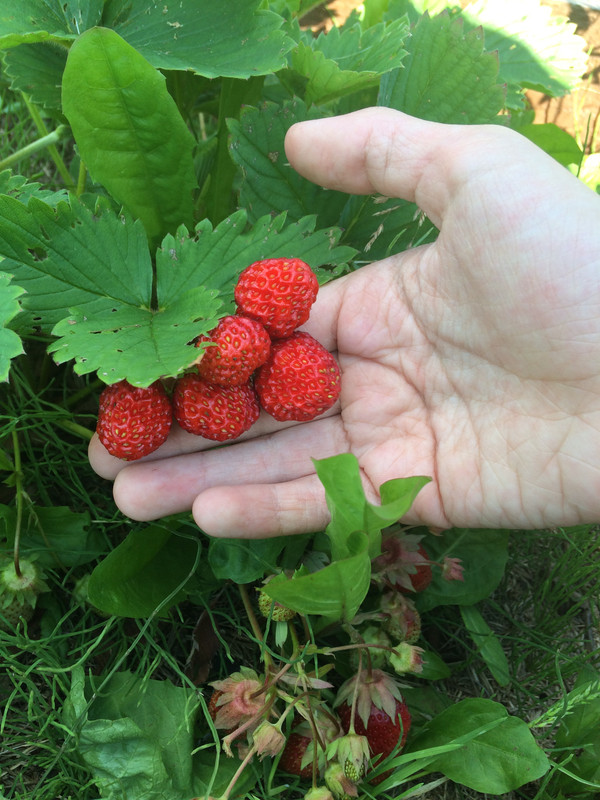 DF86EFD7-A9B2-4AFC-99B4-91B74AAABB6F