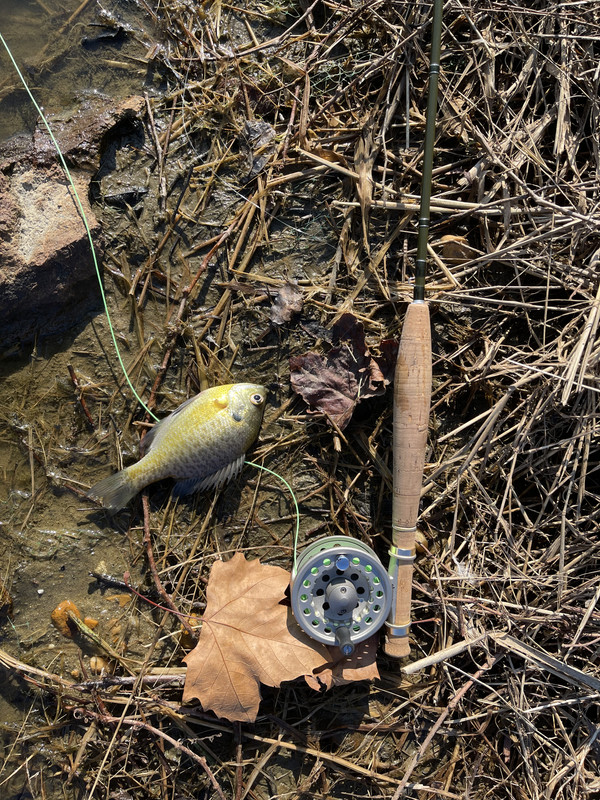 37CF70ED-8D41-46FA-9541-9F67D354FAFD