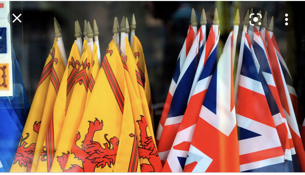 D43B2F9E-205D-48ED-8B6D-978B6FDCB1F1