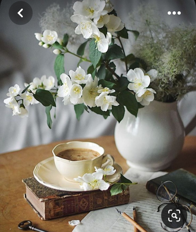 Screenshot_20230615_233021_Pinterest