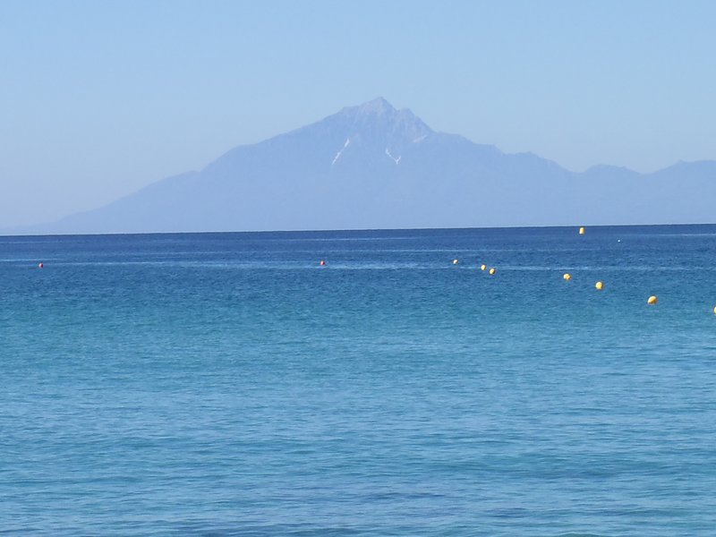 Slika