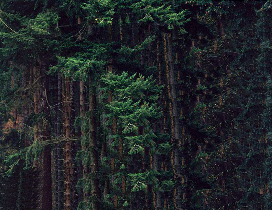 Hagrid hut Background I