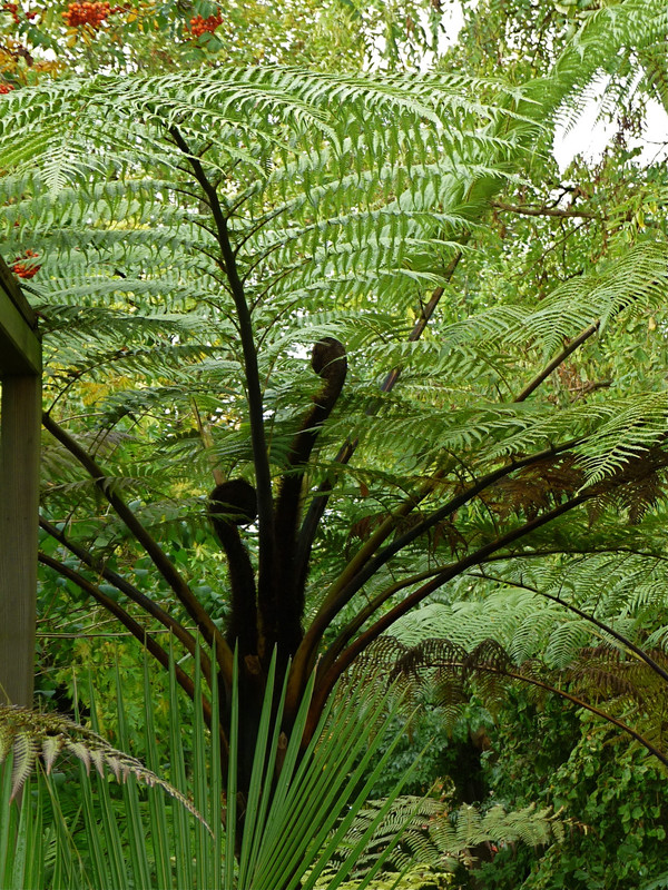 P1050676 — Postimages