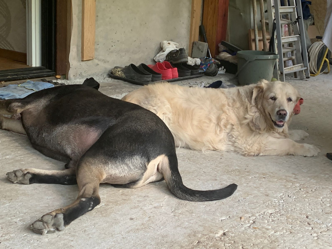 B2CB36B5-49F5-4F7D-A166-6ED5B56D9511