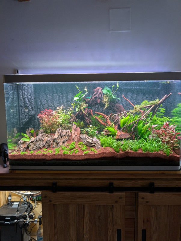 PXL_20250418_145759378.MP