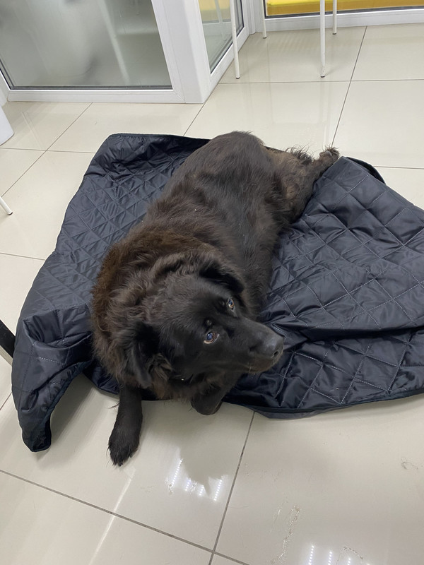 252C0F21-4213-4E43-B31D-B3D3E16617D8