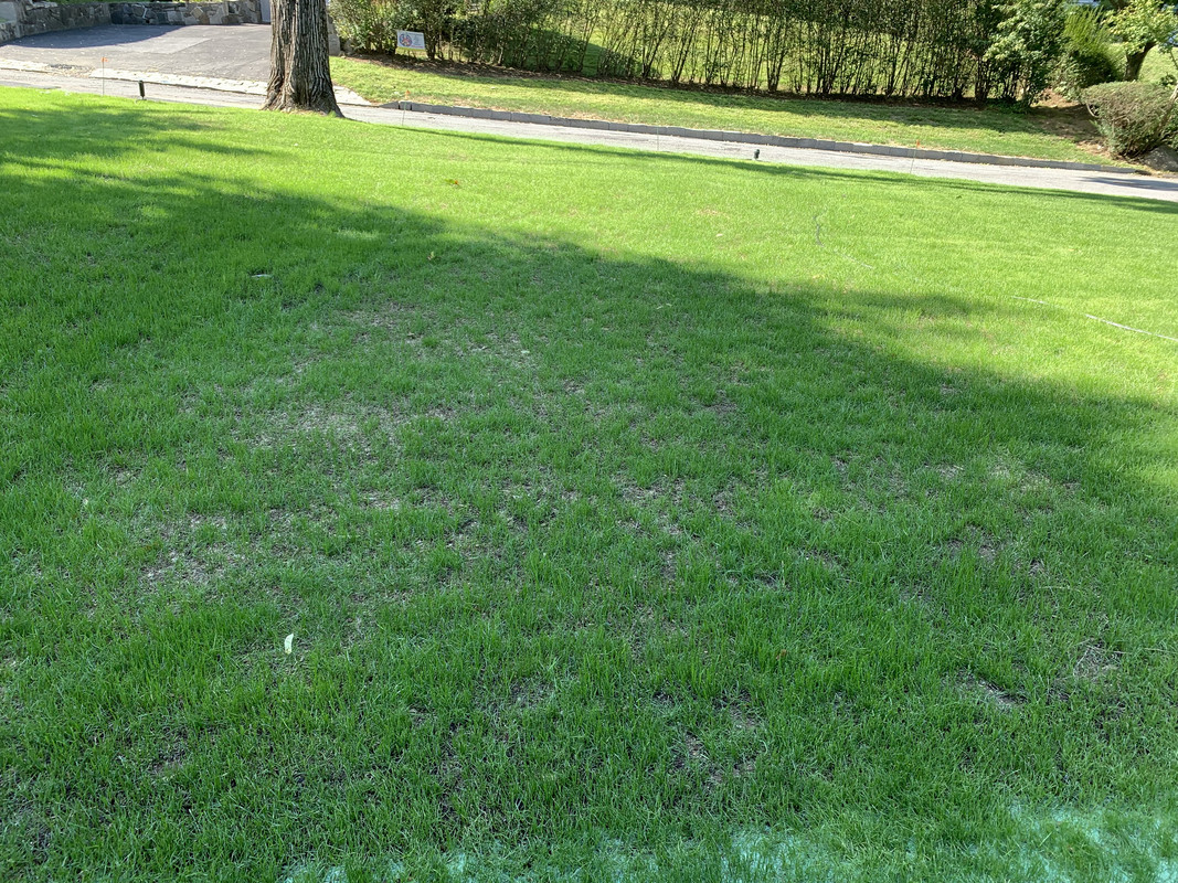 34AE4261-D11B-4D0E-9E12-165042F0127E